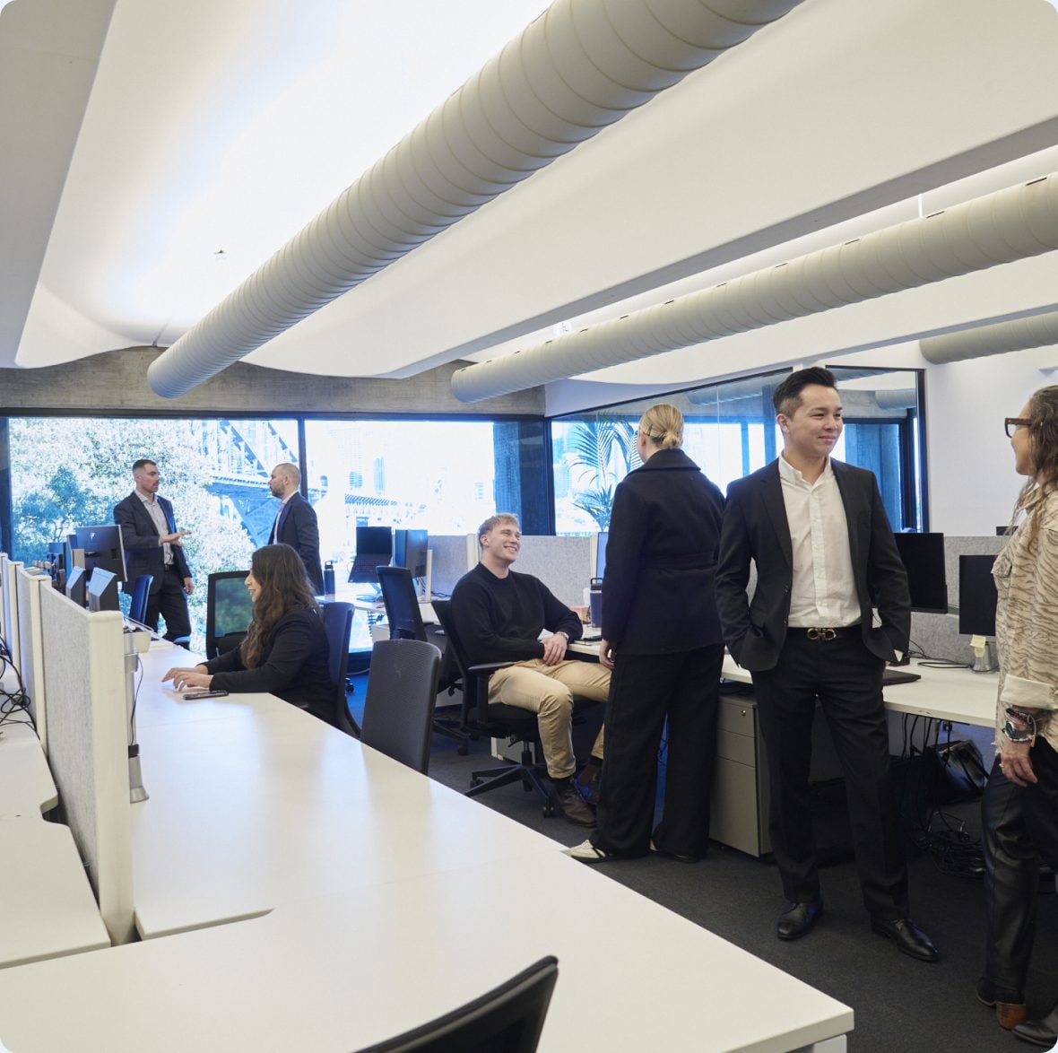 The SHC team at work in the Sydney office